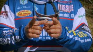 Spybait Fishing Clear Water Suspended Bass - Mansue