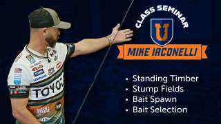Dissecting Stump Fields & Standing Timber - Mike Iaconelli