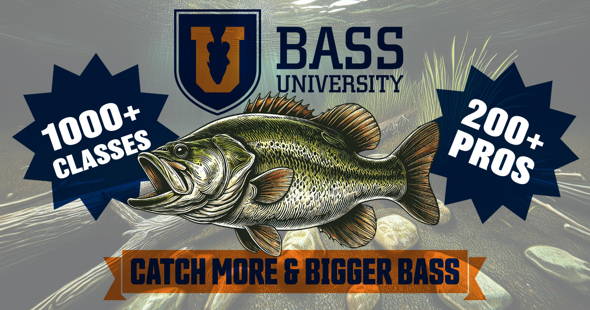 Signup for a Bass University TV Seminar Video Subscription