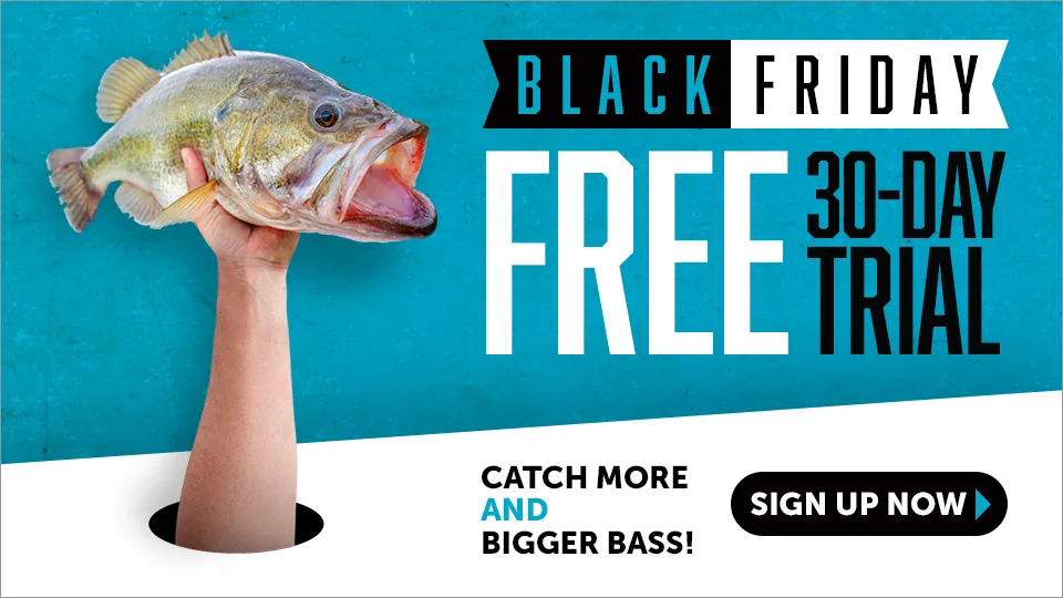 30 Days FREE Bass University Deal