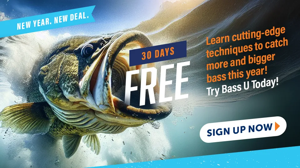 30 Days FREE Bass University Deal