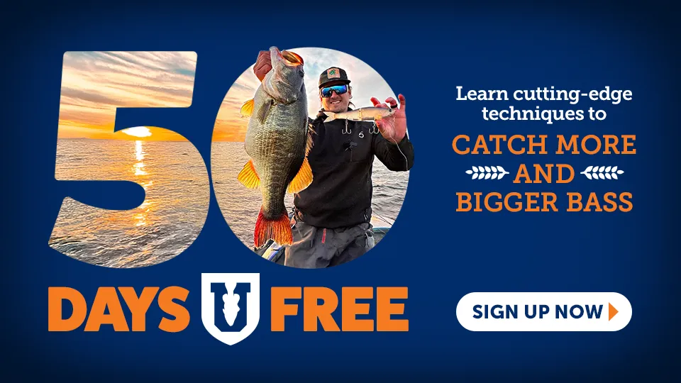 30 Days FREE Bass University Deal