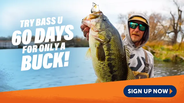 60 Days of Bass University for One Dollar