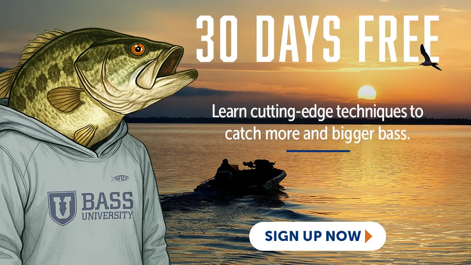 Bass University 30 Days Free Special Deal