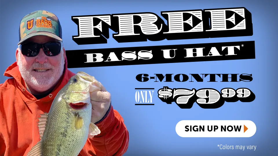 Bass University Featured 6 Month Sign Up Deal