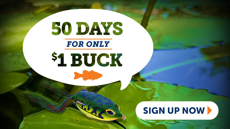 Bass University 50 Day Special Offer Deal