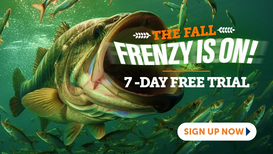 Bass University 7 Day Free Trial
