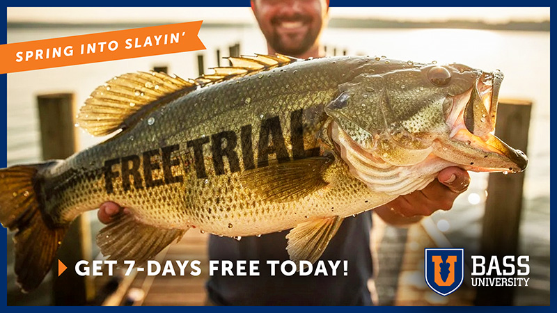 Bass University Monthly Subscription