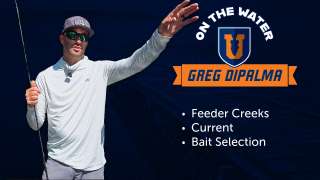 Dissecting Feeder Creeks - Greg DiPalma