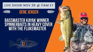 Spinnerbaits in Heavy Cover with Flukemaster - November 2024