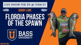 Florida Flipping & Spawn Stages - February 2025