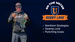 Northern Largemouth Strategies - Bobby Lane