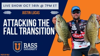 Justin Lucas | Fall Transition & Ultimate Angler - October 14, 2025