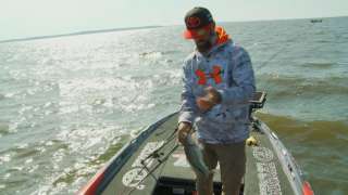 Finding the Sweet Spot - Mike Iaconelli On the Water