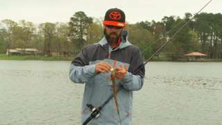 Pre Spawn & Post Spawn Staging Areas - Mike Iaconelli