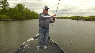 More Spawn Fishing Bass Beds You Can't See - Gluszek