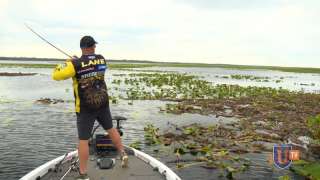 Bass Fishing Kissimmee Chain of Lakes - Bobby Lane