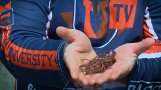 Tackle Tips : Prespawn - Gluszek