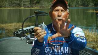 Tackle Tips : Jigs - Mansue