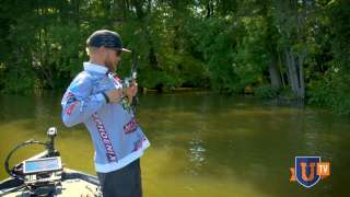Fishing Shallow Water Cover : Flipping & Pitching - Elam