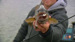 Winter Finesse Swimbait Fishing for Smallmouth - Mueller