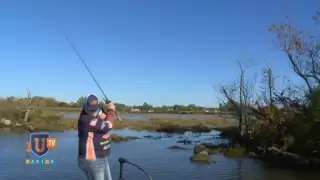 Get Out of Trouble & Save Money - Bass University Basics