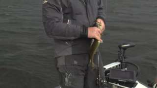 JT Kenney 2 Hour 5 Bass Challenge - Florida Canals