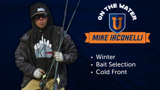 12 Best Baits for Winter Cold Front Bass Fishing - Iaconelli
