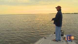 Fishing a Spinnerbait in Tannic Water - JT Kenney
