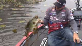 Lintner 2 Hour 5 Bass Challenge : Punching & Topwater