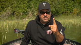 Confidence Baits : When The Wheels Come Off - Mark Zona