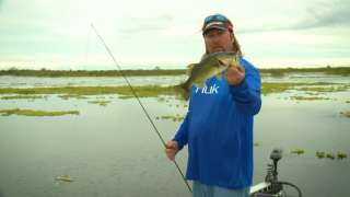 How to Fish a Topwater Prop Bait - JT Kenney