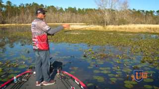 How to Punch Grass Mats for Bass - Lintner