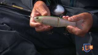 Fishing Big Glide Baits for Bass - Jocumsen
