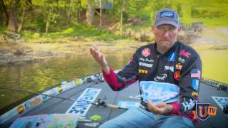 Learn to Fish Spinnerbaits Well - Wesley Strader