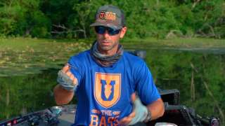 Finesse Tiny Child Rig - Mike Iaconelli