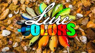 Lure Colors - Pure Fishing's Mark Sexton - August 2020