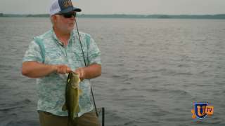 Bass Fishing in Eel Grass - Pete Gluszek