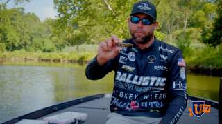 Why Fish Topwater Lures for Bass? - Lee Livesay
