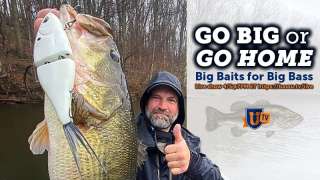 Big Baits for Big Bass - April 2022