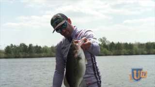 How to Find & Catch Spawning Bass - Greg DiPalma