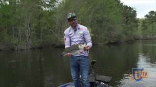 Fishing Buzzbaits & Prop Baits in Pre-Spawn & Spawn - Greg DiPalma
