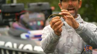 Step-by-Step Guide to Successful Fluke Fishing - Mike Iaconelli