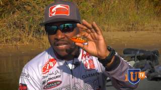 Rat-L-Traps: Tips & Modifications to Catch Bass All Year - Mark Daniels Jr : Remastered