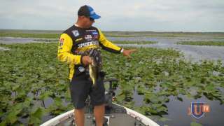 Frog Whisperer: Catching Big Bass with Topwater Frogs - Bobby Lane : Remastered