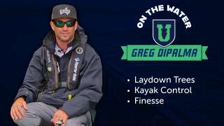 Fishing Submerged Trees & Laydowns - Greg DiPalma