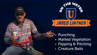Tackling Bass in Grass: How to Punch Matted Vegetation - Jared Lintner