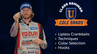 Mastering Lipless Crankbaits - Cole Sands